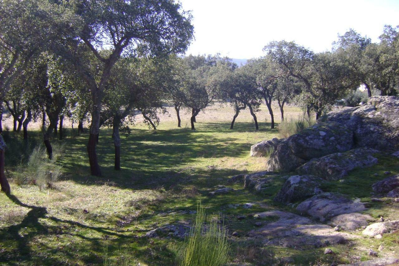 Marvão Tapada Da Beiraヴィラ エクステリア 写真